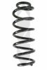 SPIDAN 86615 Coil Spring